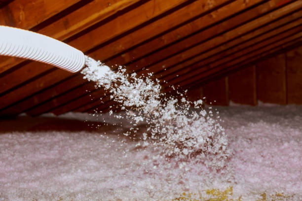 Best Insulation Removal  in USA